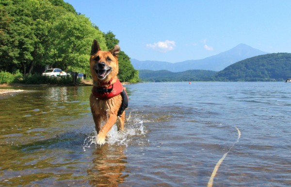 f:id:mamimami_LA:20140803085620j:image