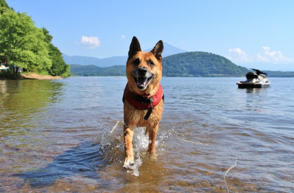 f:id:mamimami_LA:20140803085744j:image