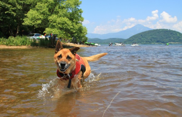 f:id:mamimami_LA:20140803114021j:image