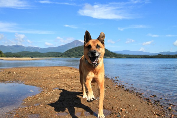 f:id:mamimami_LA:20140926103809j:image