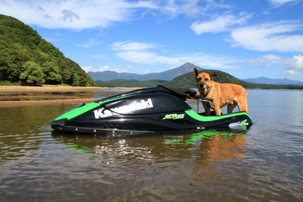 f:id:mamimami_LA:20140926105930j:image