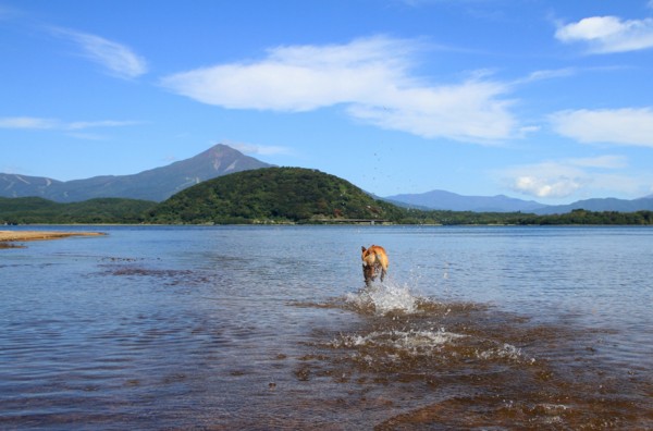 f:id:mamimami_LA:20140926112655j:image