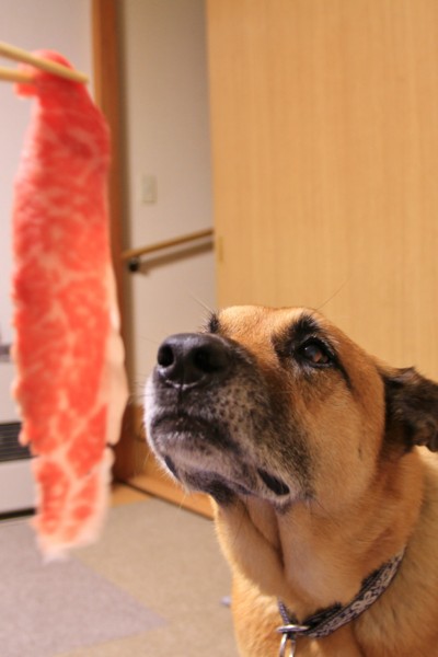 f:id:mamimami_LA:20140926194548j:image