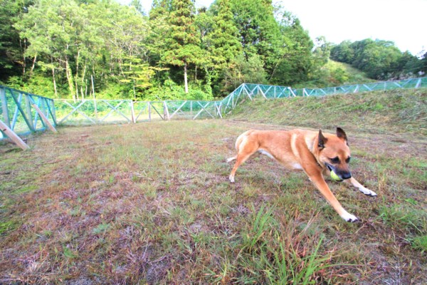 f:id:mamimami_LA:20140927071602j:image