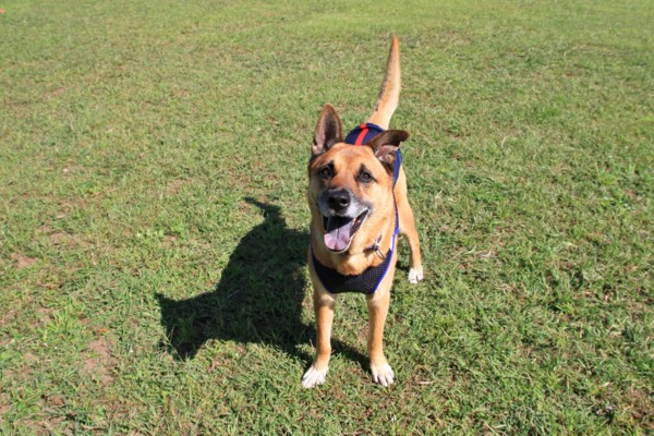 f:id:mamimami_LA:20140929095155j:image