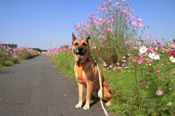 f:id:mamimami_LA:20140930112835j:image