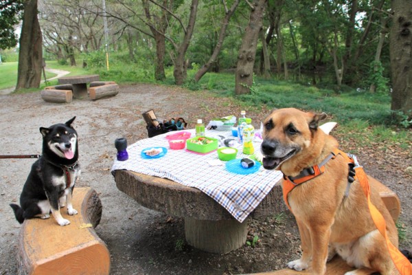 f:id:mamimami_LA:20141008123148j:image