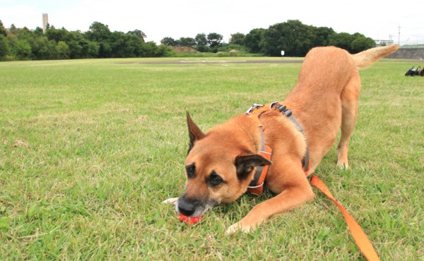 f:id:mamimami_LA:20141008132959j:image