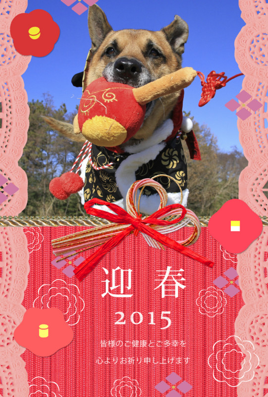 f:id:mamimami_LA:20141228203837j:image f:id:mamimami_LA:20141228203837j:image