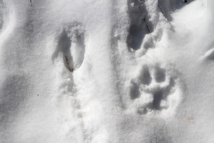 f:id:mamimami_LA:20150103112215j:image