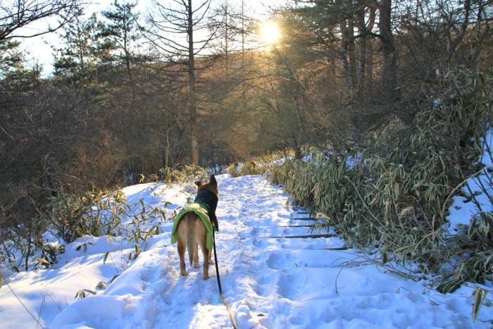 f:id:mamimami_LA:20150103160846j:image