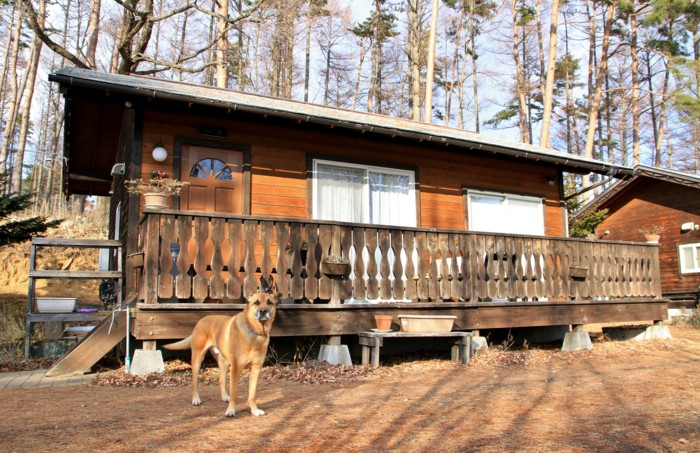 f:id:mamimami_LA:20150104142610j:image