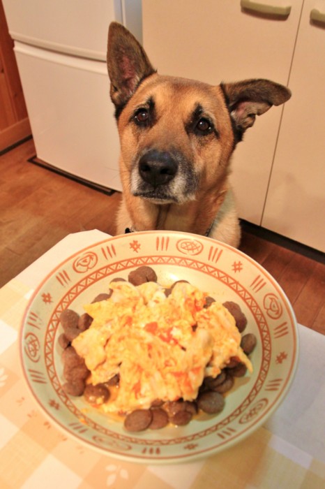 f:id:mamimami_LA:20150104170858j:image