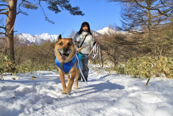 f:id:mamimami_LA:20150105101527j:image