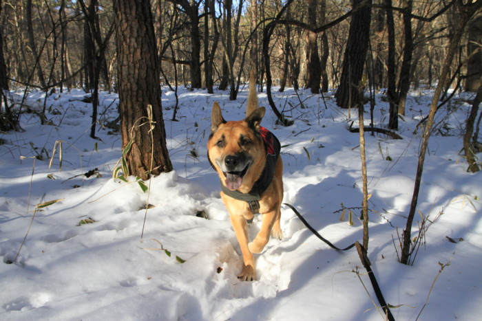 f:id:mamimami_LA:20150105141222j:image