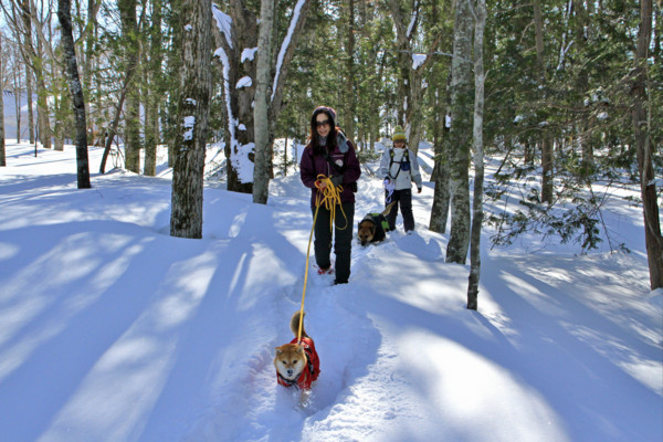 f:id:mamimami_LA:20150221092616j:image f:id:mamimami_LA:20150221092616j:image