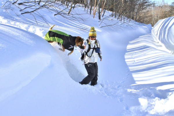 f:id:mamimami_LA:20150221093119j:image f:id:mamimami_LA:20150221093119j:image