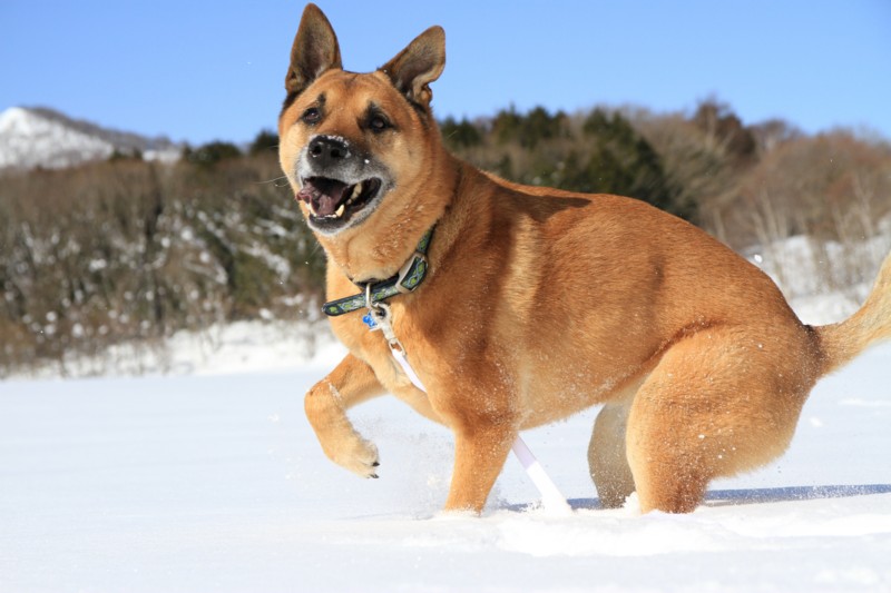 f:id:mamimami_LA:20150221100905j:image f:id:mamimami_LA:20150221100905j:image