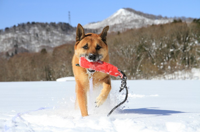 f:id:mamimami_LA:20150221101329j:image f:id:mamimami_LA:20150221101329j:image