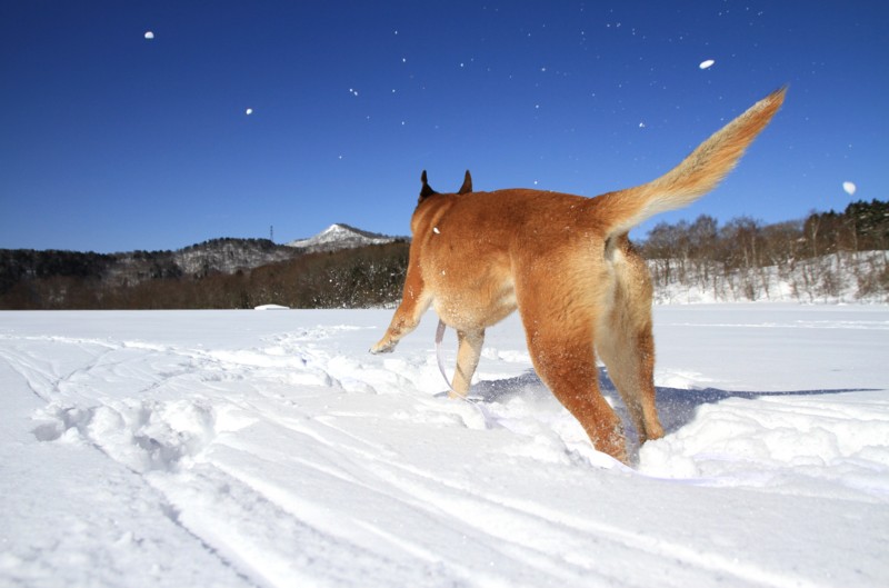 f:id:mamimami_LA:20150221101349j:image f:id:mamimami_LA:20150221101349j:image