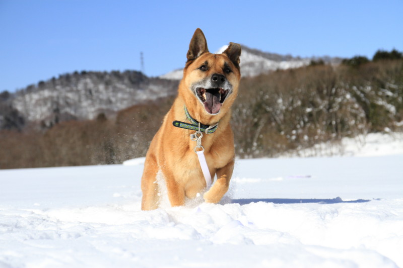 f:id:mamimami_LA:20150221101407j:image f:id:mamimami_LA:20150221101407j:image