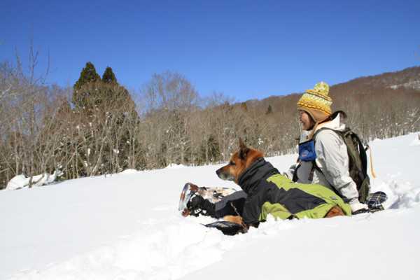 f:id:mamimami_LA:20150221115012j:image f:id:mamimami_LA:20150221115012j:image