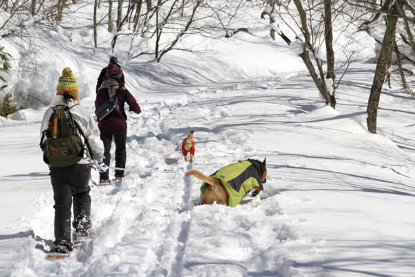 f:id:mamimami_LA:20150221121029j:image f:id:mamimami_LA:20150221121029j:image