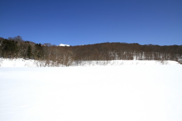 f:id:mamimami_LA:20150221122637j:image f:id:mamimami_LA:20150221122637j:image