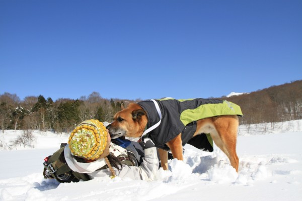 f:id:mamimami_LA:20150221123202j:image f:id:mamimami_LA:20150221123202j:image