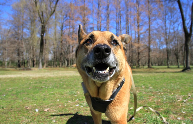 f:id:mamimami_LA:20150311104535j:image