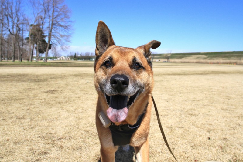 f:id:mamimami_LA:20150311111457j:image