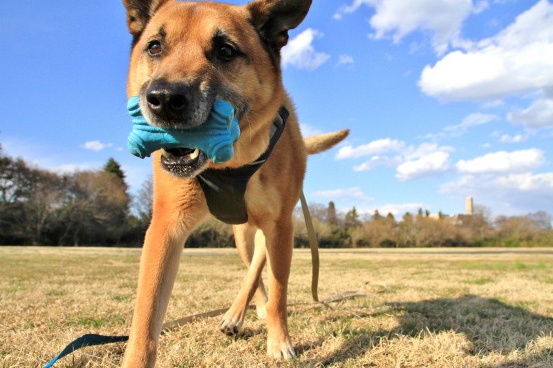 f:id:mamimami_LA:20150311154245j:image