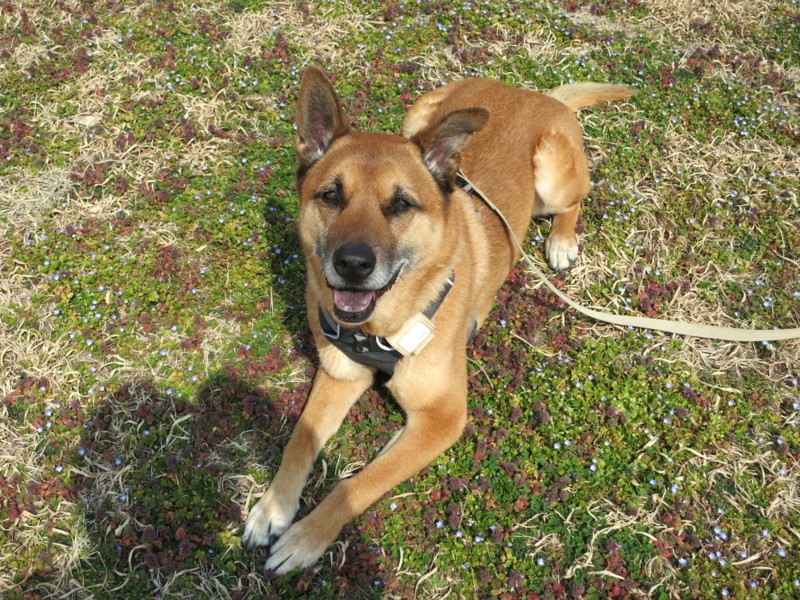 f:id:mamimami_LA:20150316115523j:image f:id:mamimami_LA:20150316115523j:image