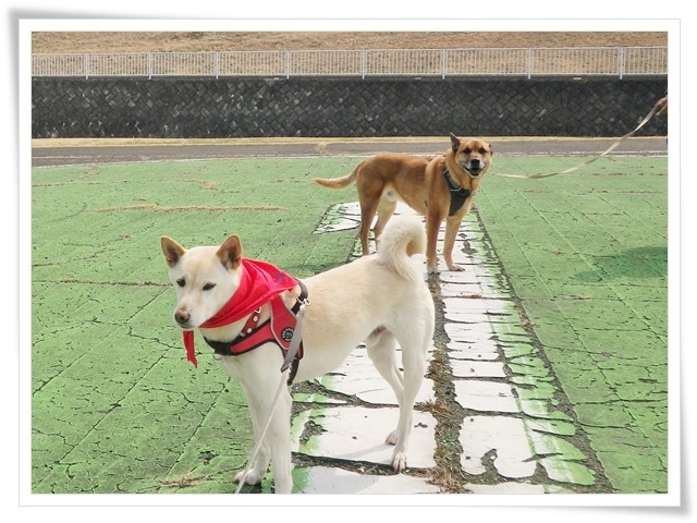 f:id:mamimami_LA:20150329232127j:image f:id:mamimami_LA:20150329232127j:image