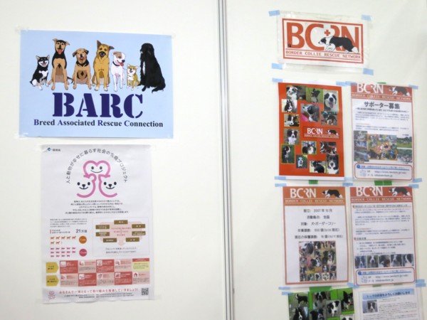 f:id:mamimami_LA:20150405095547j:image