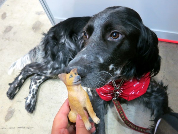 f:id:mamimami_LA:20150405121744j:image