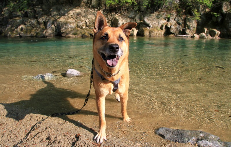 f:id:mamimami_LA:20150429073721j:image