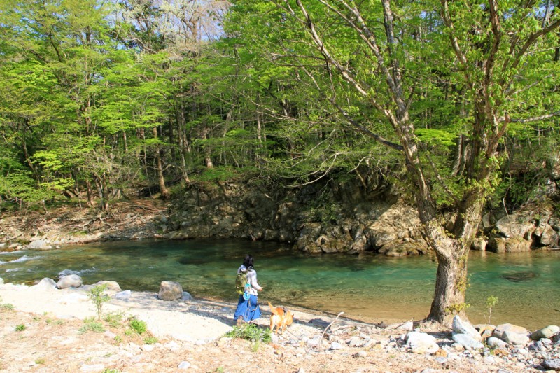 f:id:mamimami_LA:20150429073828j:image