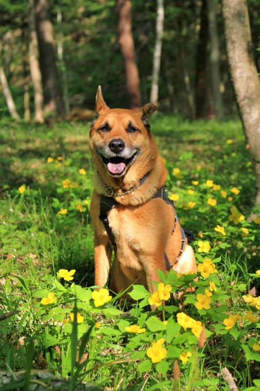 f:id:mamimami_LA:20150429080050j:image