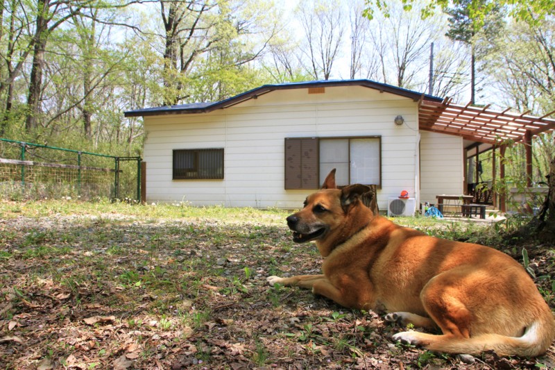 f:id:mamimami_LA:20150429110506j:image