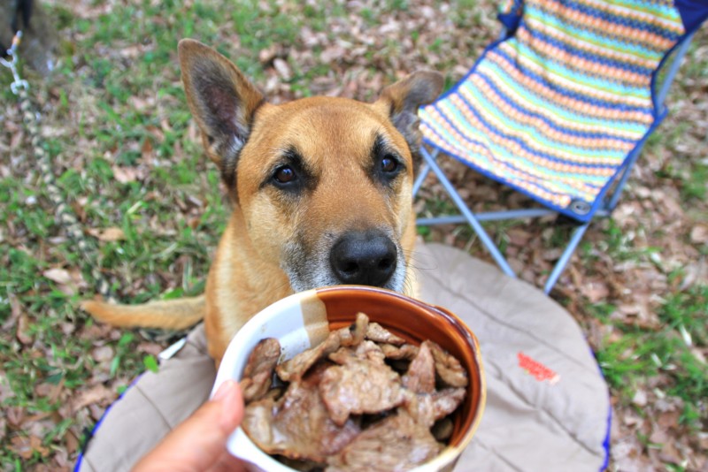 f:id:mamimami_LA:20150429172131j:image