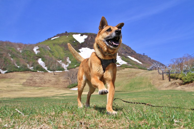 f:id:mamimami_LA:20150430091836j:image