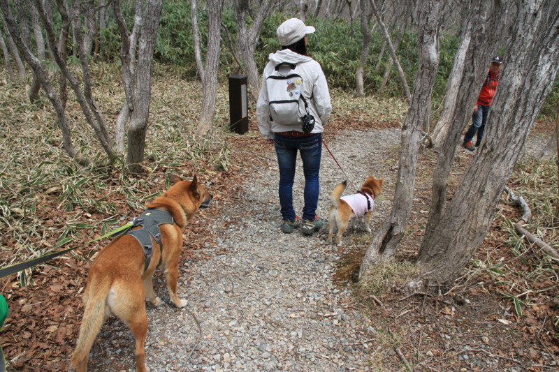 f:id:mamimami_LA:20150430104920j:image