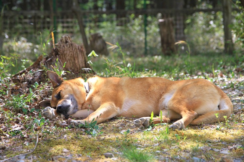 f:id:mamimami_LA:20150430142629j:image