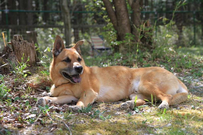 f:id:mamimami_LA:20150430142655j:image f:id:mamimami_LA:20150430142655j:image