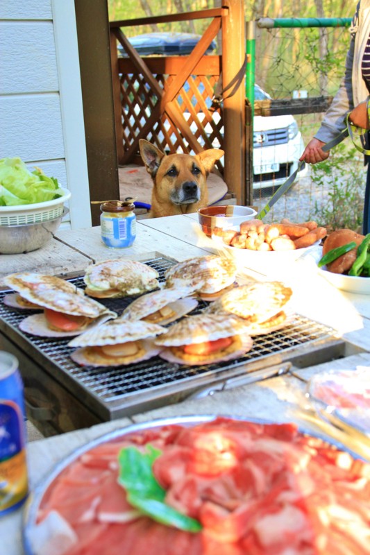 f:id:mamimami_LA:20150430172345j:image f:id:mamimami_LA:20150430172345j:image