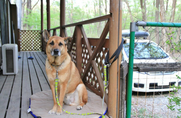 f:id:mamimami_LA:20150430175950j:image f:id:mamimami_LA:20150430175950j:image