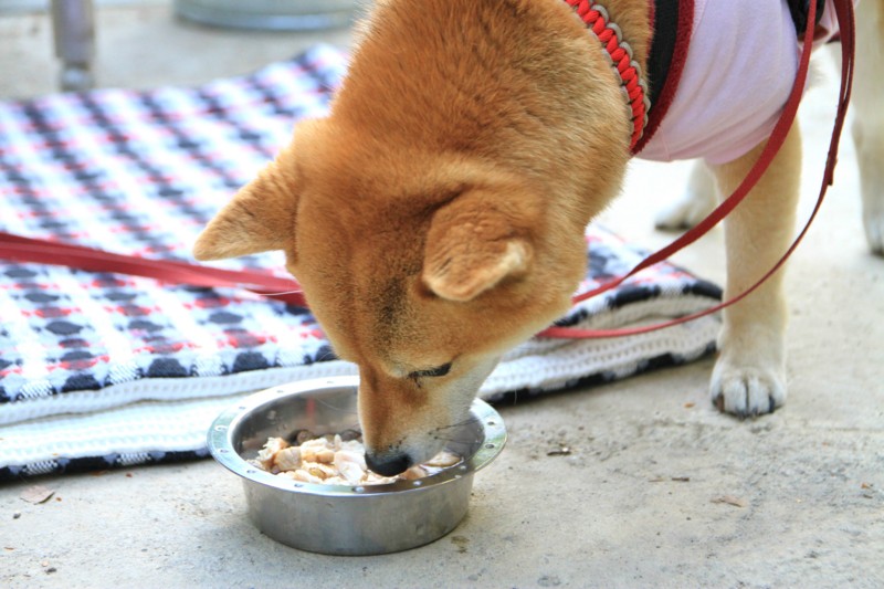 f:id:mamimami_LA:20150430180002j:image f:id:mamimami_LA:20150430180002j:image