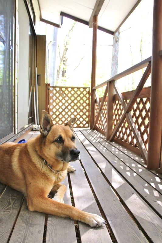 f:id:mamimami_LA:20150501091701j:image f:id:mamimami_LA:20150501091701j:image