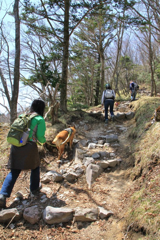 f:id:mamimami_LA:20150501114131j:image f:id:mamimami_LA:20150501114131j:image